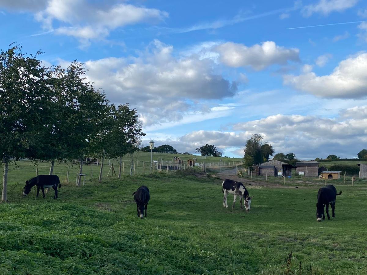 Fairview Farm Holiday Accommodation 14 Luxury Lodges, Cabins, Dog Friendly, Suitable For Couples, Families And Groups, Wedding Guests , Corporate Events, Sleeps 2-65 Guests In Ravenshead, Nottingham Near Sherwood Forest, Set In 88 Acres 외부 사진