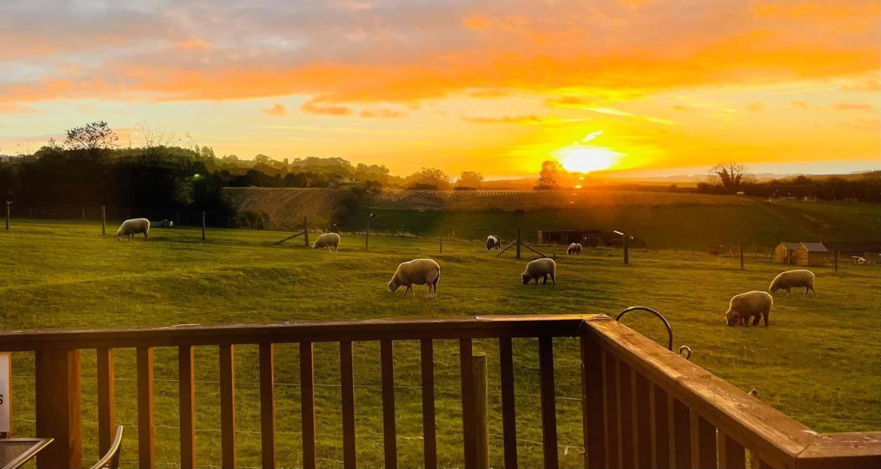 Fairview Farm Holiday Accommodation 14 Luxury Lodges, Cabins, Dog Friendly, Suitable For Couples, Families And Groups, Wedding Guests , Corporate Events, Sleeps 2-65 Guests In Ravenshead, Nottingham Near Sherwood Forest, Set In 88 Acres 외부 사진