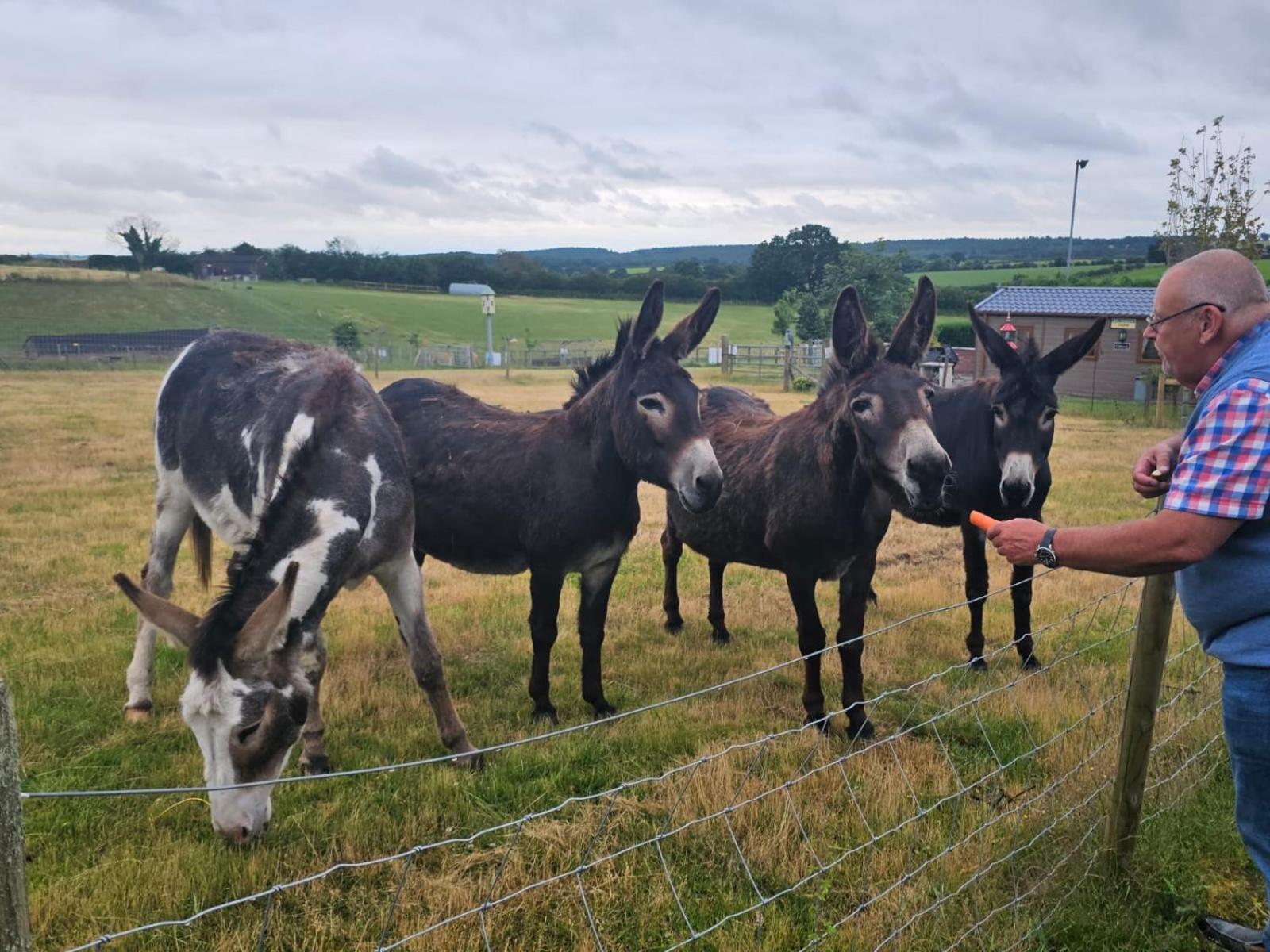 Fairview Farm Holiday Accommodation 14 Luxury Lodges, Cabins, Dog Friendly, Suitable For Couples, Families And Groups, Wedding Guests , Corporate Events, Sleeps 2-65 Guests In Ravenshead, Nottingham Near Sherwood Forest, Set In 88 Acres 외부 사진