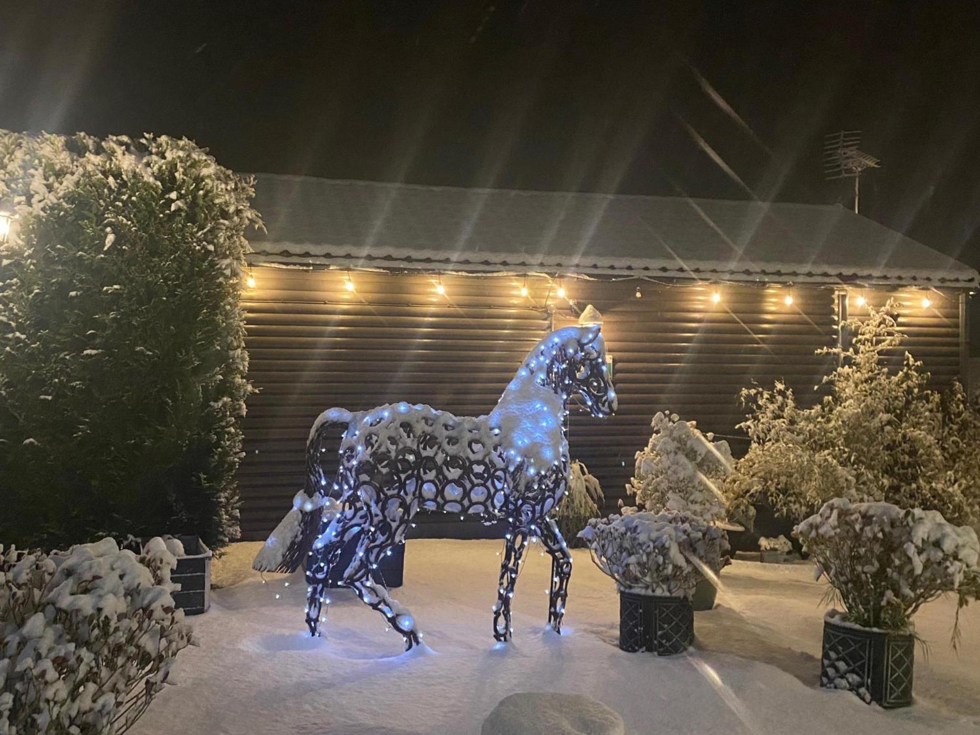 Fairview Farm Holiday Accommodation 14 Luxury Lodges, Cabins, Dog Friendly, Suitable For Couples, Families And Groups, Wedding Guests , Corporate Events, Sleeps 2-65 Guests In Ravenshead, Nottingham Near Sherwood Forest, Set In 88 Acres 외부 사진