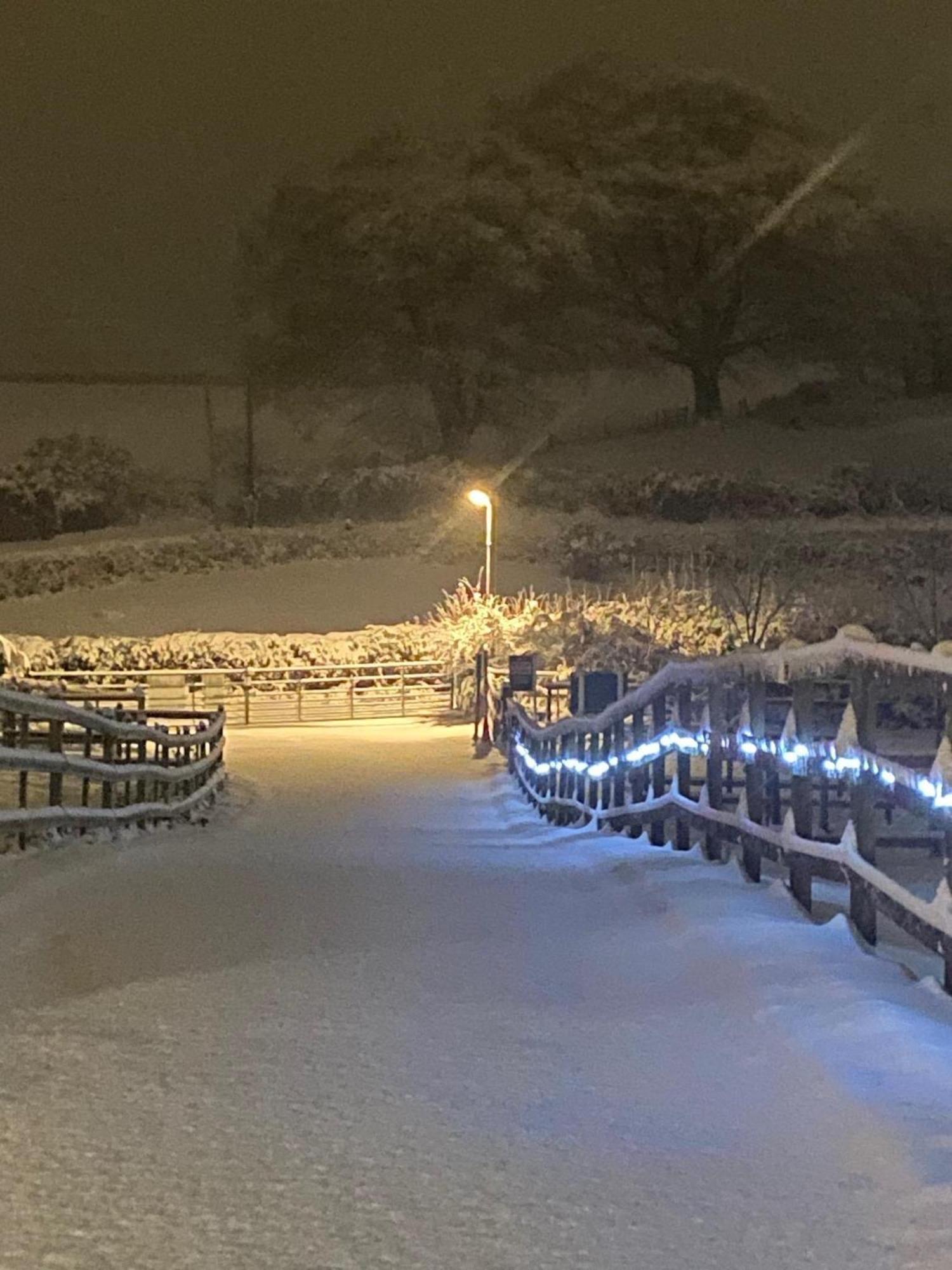 Fairview Farm Holiday Accommodation 14 Luxury Lodges, Cabins, Dog Friendly, Suitable For Couples, Families And Groups, Wedding Guests , Corporate Events, Sleeps 2-65 Guests In Ravenshead, Nottingham Near Sherwood Forest, Set In 88 Acres 외부 사진