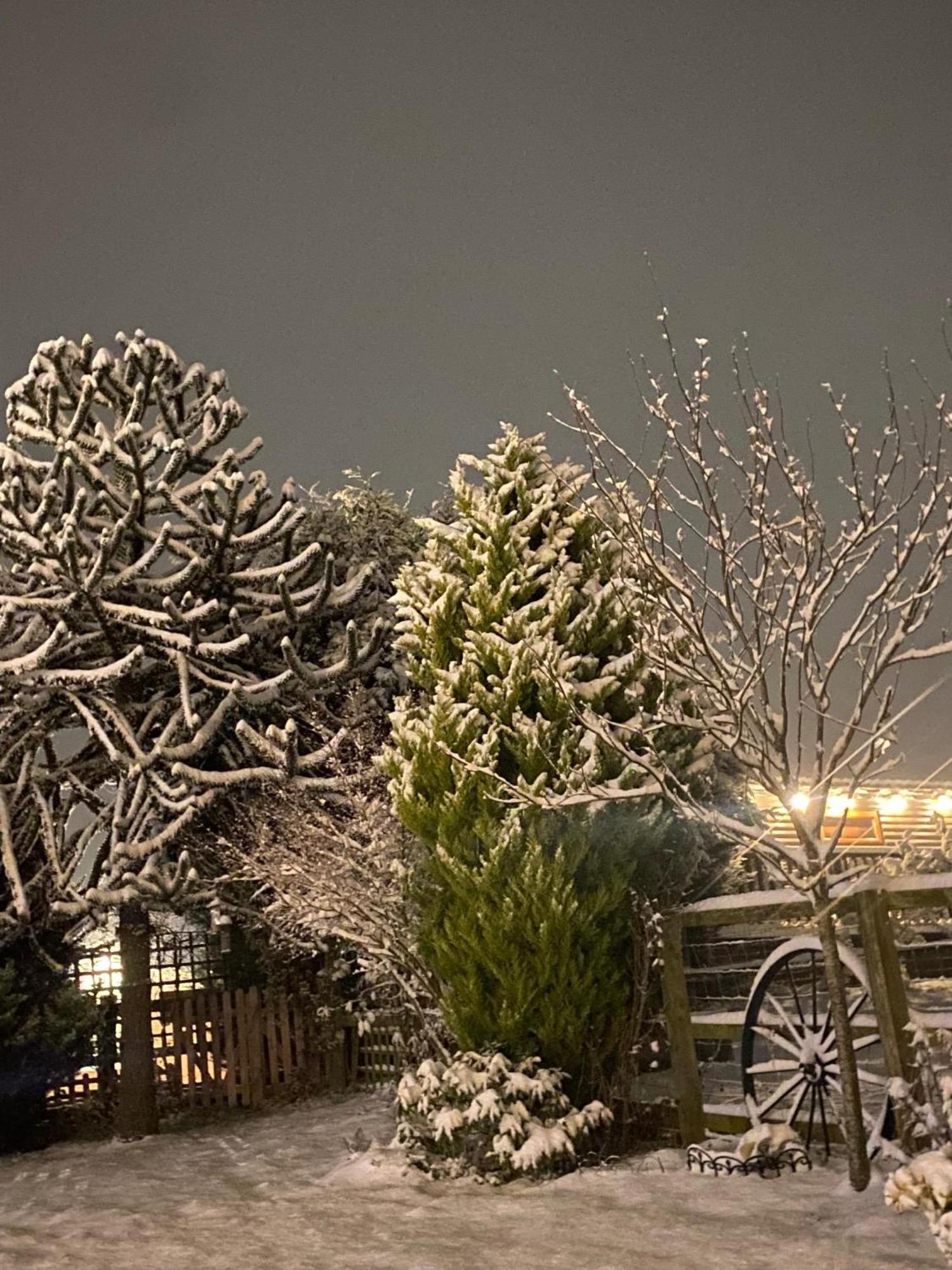 Fairview Farm Holiday Accommodation 14 Luxury Lodges, Cabins, Dog Friendly, Suitable For Couples, Families And Groups, Wedding Guests , Corporate Events, Sleeps 2-65 Guests In Ravenshead, Nottingham Near Sherwood Forest, Set In 88 Acres 외부 사진